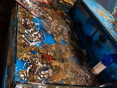 -谊荣海鲜大牌档(石湖店)