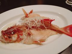 -宝丽轩中餐厅BAOLIXUAN