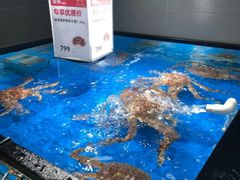 -盒马鲜生(馥邦国际店)