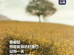 -自游人·美食一楼·地道徽菜(三十年名店)
