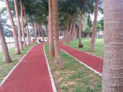 android_upload_pic-万绿园