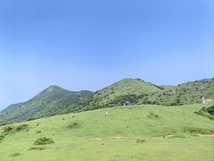 -大姆山草场