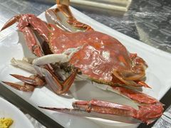 -胖大嫂渔家排档·全海景餐厅(渔村店)