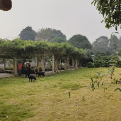 -长沙小顽国景区