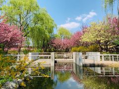 -石家庄市植物园