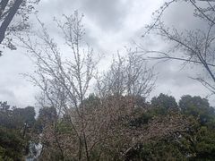 -龙头寺公园