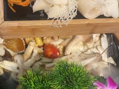 -一朵菌·野生菌探索家火锅(南亚店)