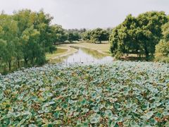 -北京麋鹿生态实验中心