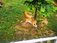 -西霞口神雕山野生动物世界