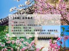 -上海山野camping·户外天幕烧烤·团建拓展营地