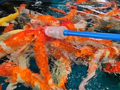 -海合安武汉极地海洋公园