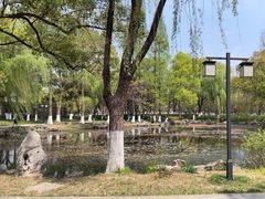 -范蠡湖公园