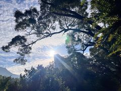 -深圳仙湖植物园