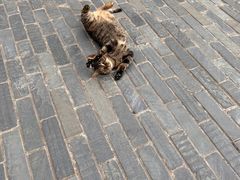 -宁波野生动物园