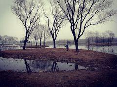 -大兴滨河森林公园