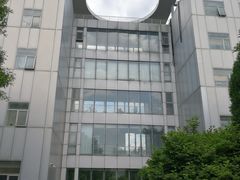 -首都医科大学附属北京地坛医院