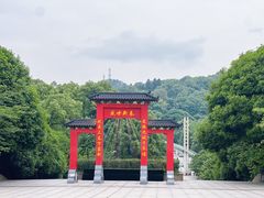 -南山植物园