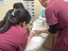 -纳吉亚猫专科动物医院博雅分院