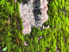 -西南交通大学(峨眉校区)