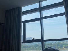 -浙江大学医学院附属邵逸夫医院(钱塘院区)