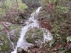-祁门牯牛降观音堂风景区
