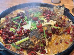 -老板恋上鱼(恒隆广场店)