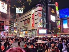 -涩谷全向十字路口