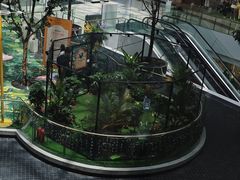 -LuOne凯德晶萃广场(徐家汇路店)