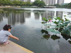 -新江湾城公园