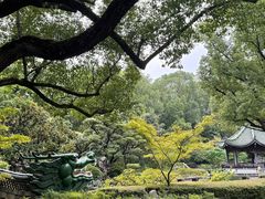 -申粤轩酒楼·三十年粤菜经典(丁香花园店)