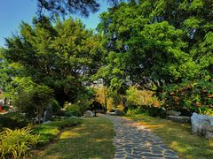 -东莞植物园