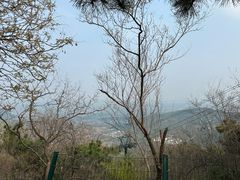 -香山公园
