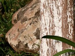 -重庆中央公园(渝北区)