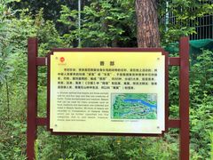 -广西壮族自治区药用植物园