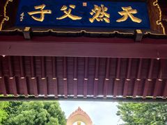 -庐山风景名胜区-东林大佛