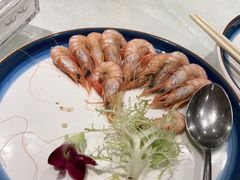 -中苑海韵