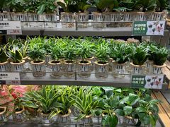 -鹿岛生活(熙地港店)