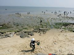 -北海金海湾红树林生态旅游区