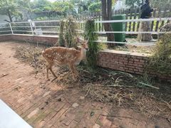 -丽泽山庄·生态怀柔菜·虹鳟鱼(红螺寺店)