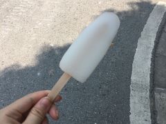 -漕湖湿地公园