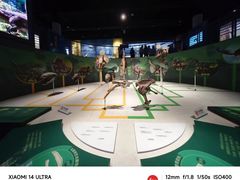 -国家自然博物馆