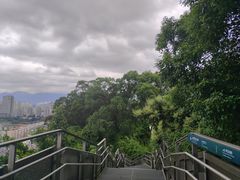 -福道