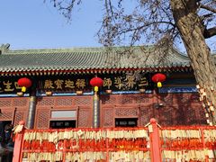 -天津大悲禅院