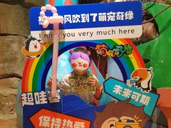 -萌宠奇缘