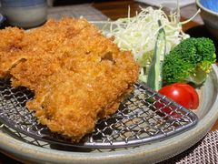 喜豚招牌猪排-KITON喜豚(清晖园店)