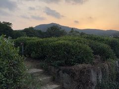 -中国茶叶博物馆(双峰馆区)