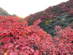 -水峪民俗村