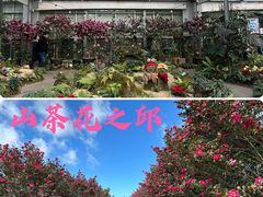 -七星路步行街