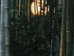 -杭州黄龙洞