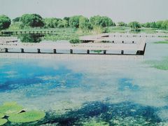 -洪湖生态旅游区